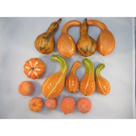 Variety of 14 Fall Decorative Artificial Pumpkins Squash Home Decor - Picture 3 of 12